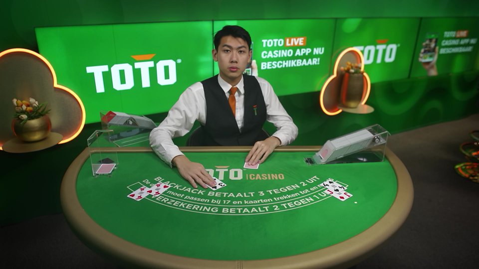 Toto Casino Screenshot