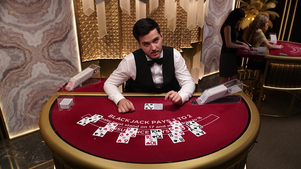 Blackjack VIP 12 - evolution